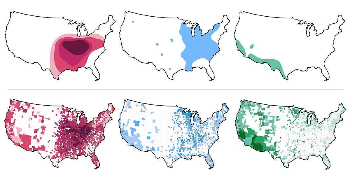 šest map USA zobrazujících tři různé houby a jejich rozšíření