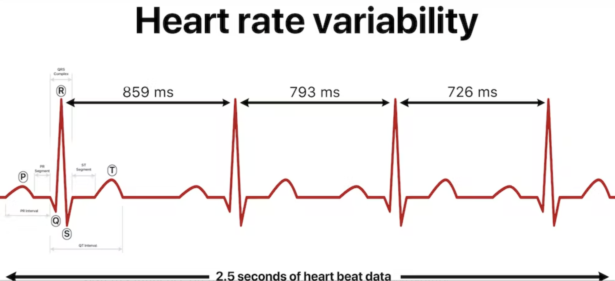 Co byste měli vědět o variabilitě srdeční frekvence – biometrické měření většiny fitness trackerů